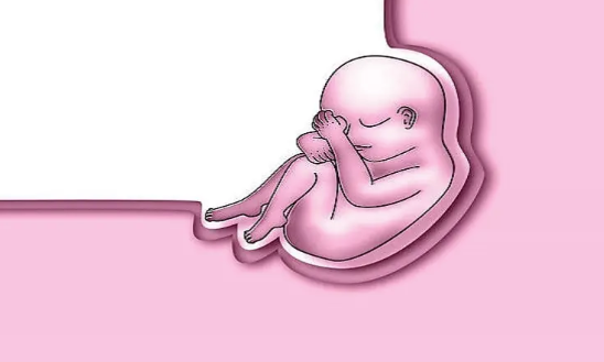 杭州哪里做试管成功率最高 杭州试管婴儿总共可以做几次? ‘孕囊4.7*1.5是男孩